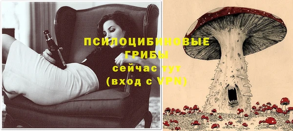 jwh Белокуриха